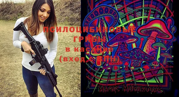 молекула духа Абинск