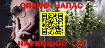 шишки Моздок