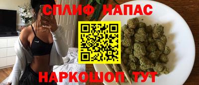 шишки Моздок