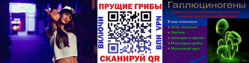 Псилоцибиновые грибы мицелий  Гурьевск 