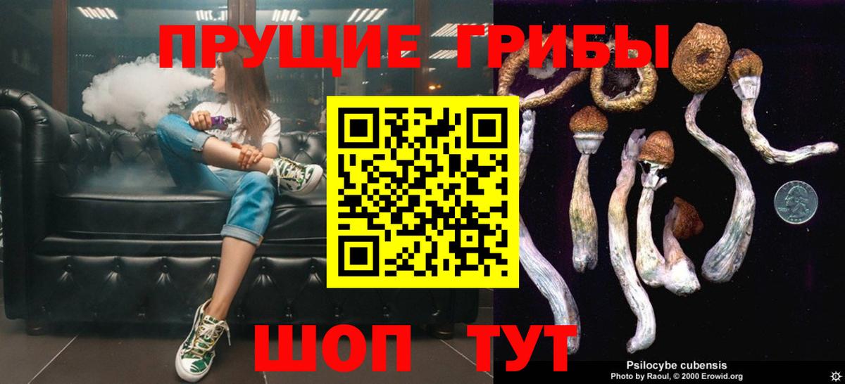 Псилоцибиновые грибы ЛСД Гурьевск