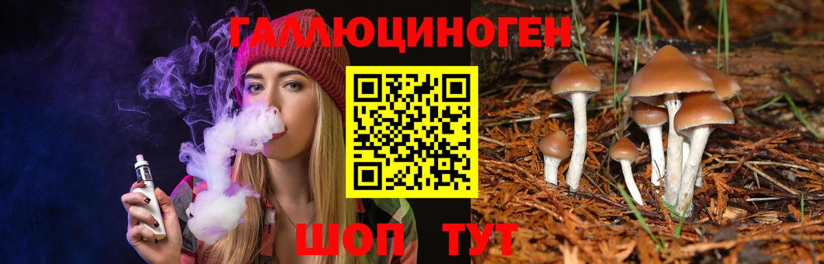 Гурьевск  Галлюциногенные грибы прущие грибы  купить   Вход с VPN  Псилоцибиновые грибы Magic Shrooms 